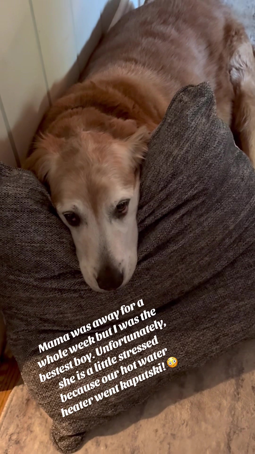@lifewithduke2025