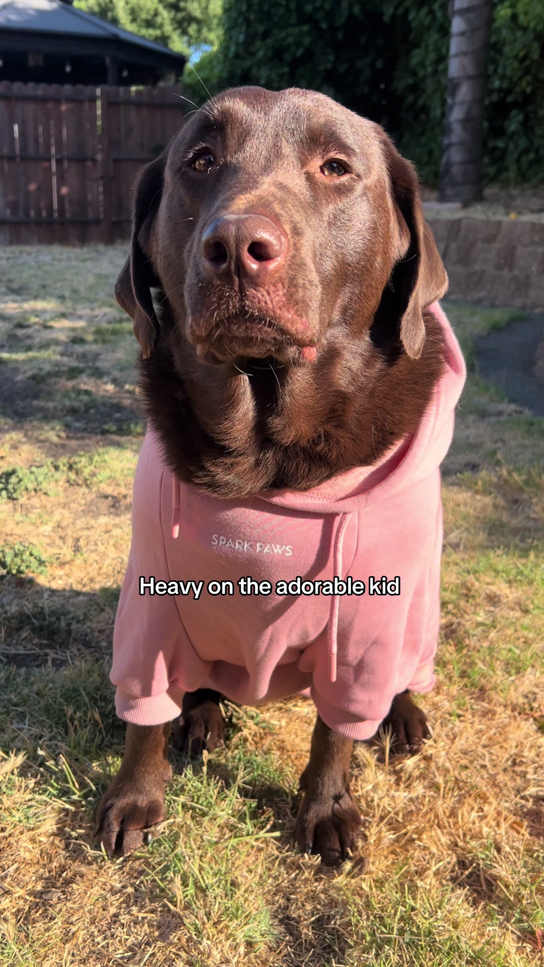 @The Chocolate Chonks 🤎