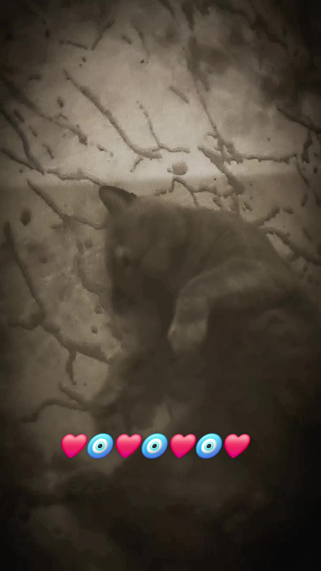 @M&uuml;h&uuml;r_g&ouml;zl&uuml;m _67