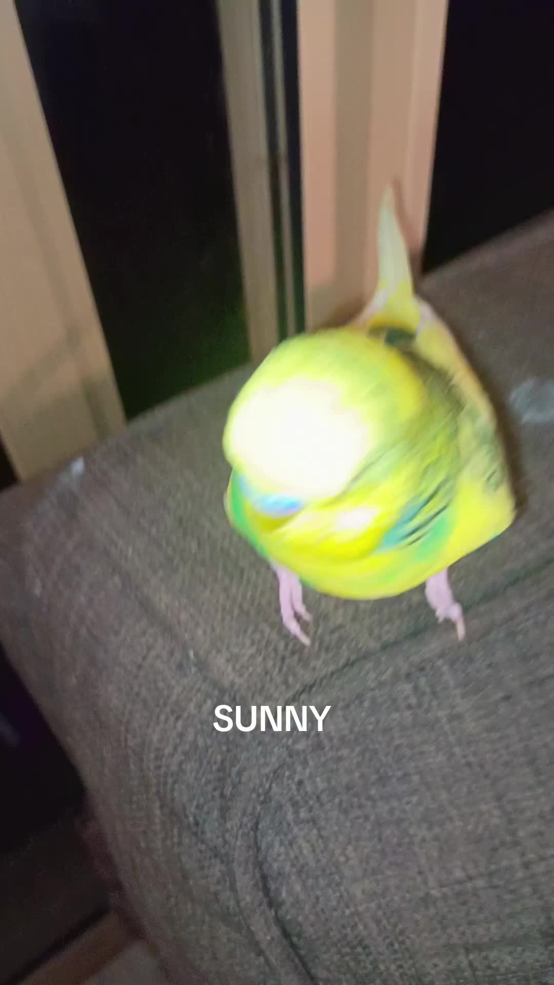 @Duck