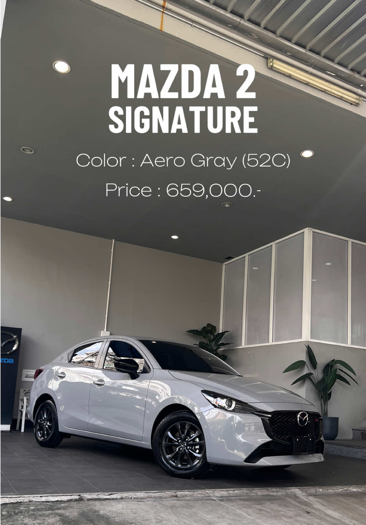 @Nut Mazda Albatross