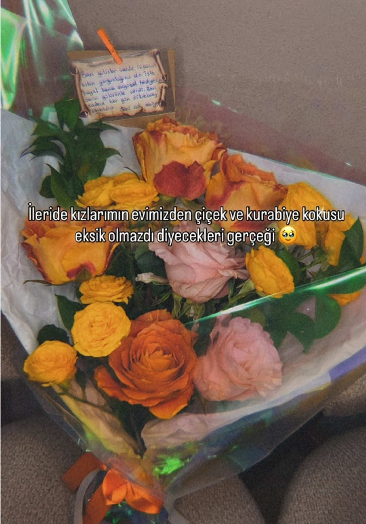 @EbrunurŞahinoğullarıDemir