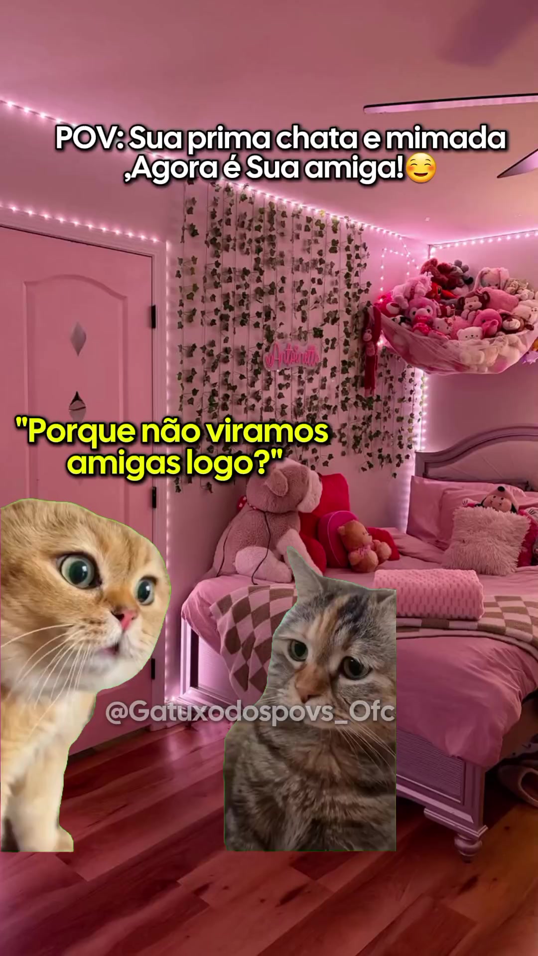 @Gatuxo Dos Povs Ofc