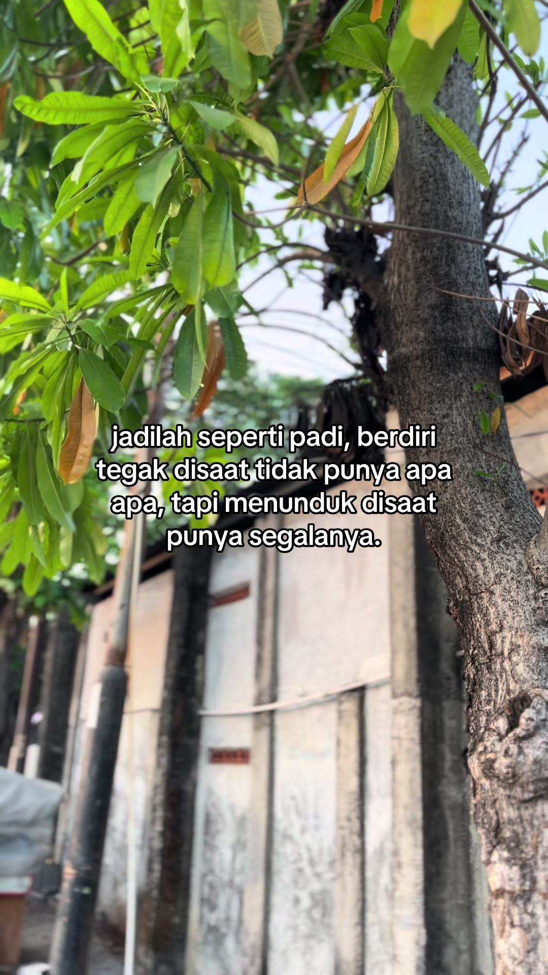@InspirasiJiwa