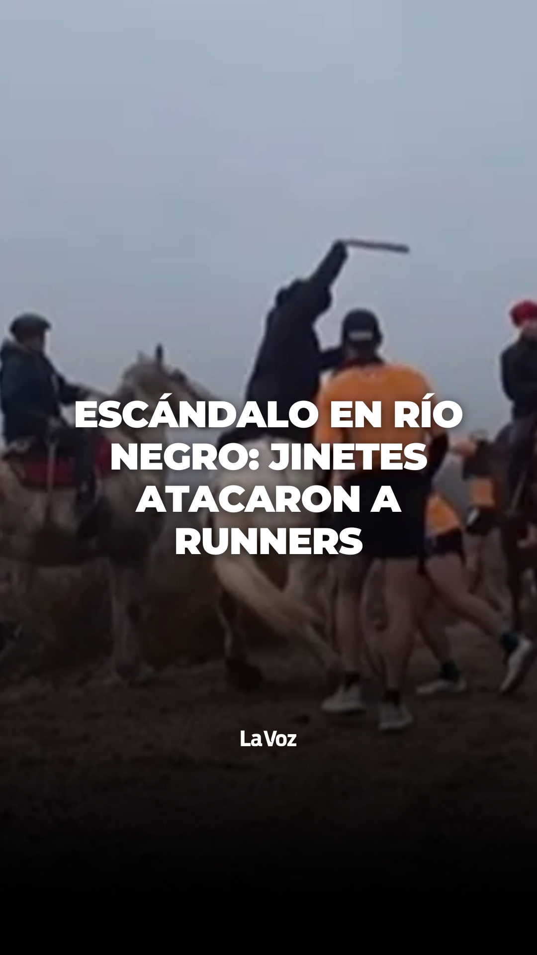 @lavozcomar