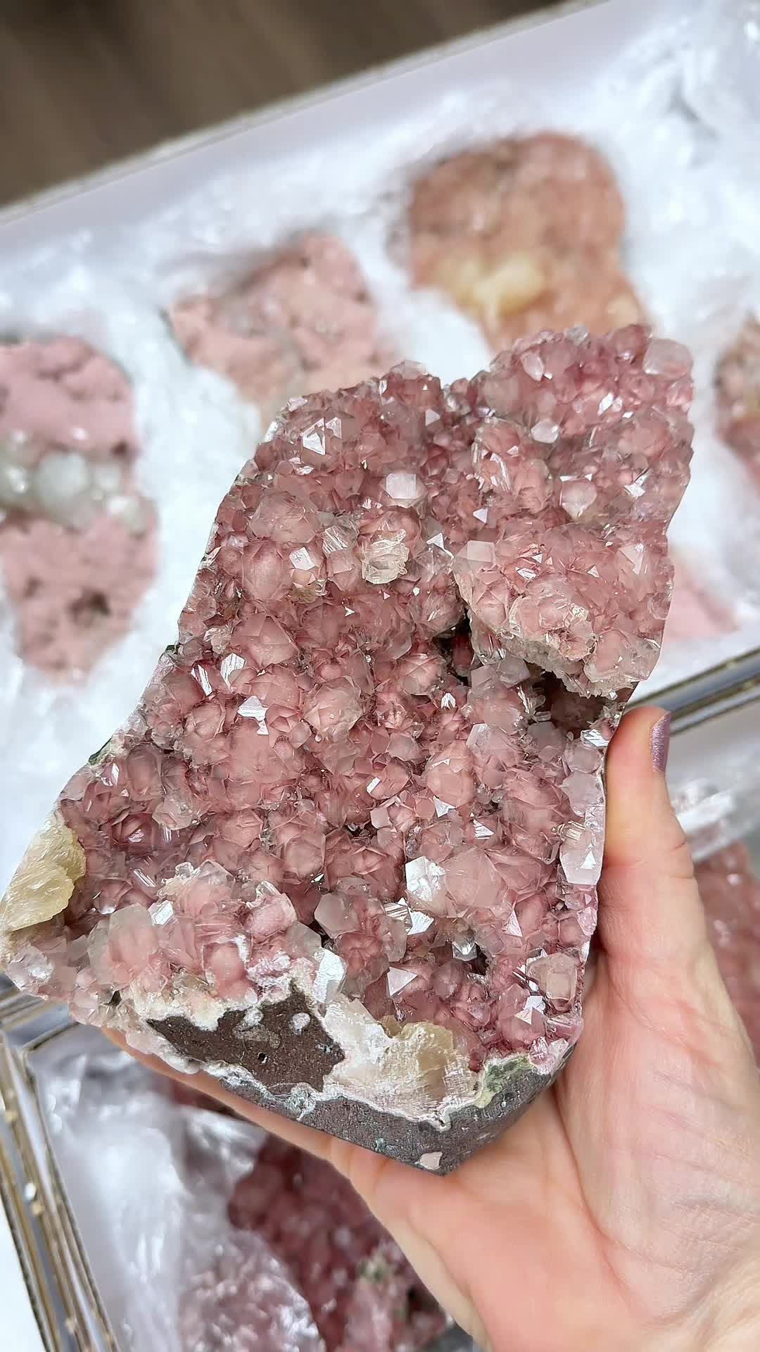 @Crystal Live Emporium✨Natalie