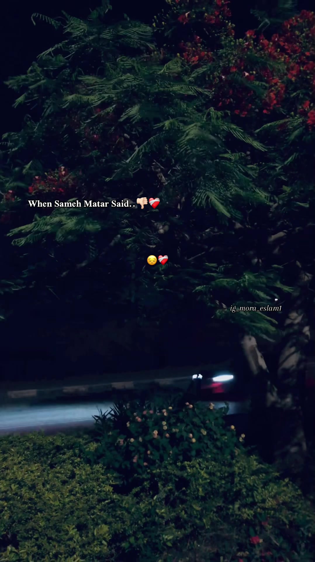 @﮼خــارج﮼نـطـاق﮼الـحـب..!