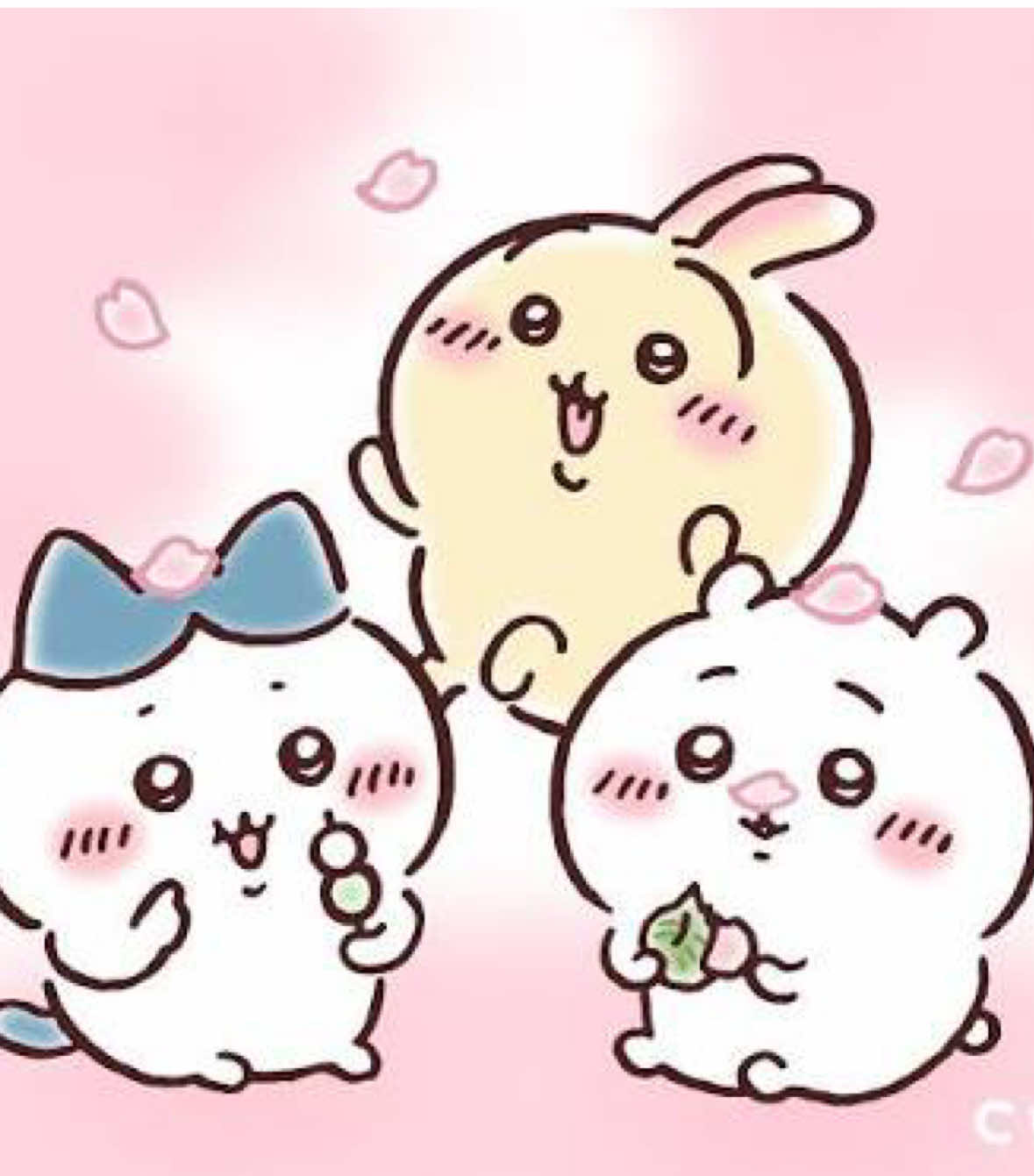 @๐ท๐๐๐ฃ๐๐๐๐ฃ๐ ๐ฅ
