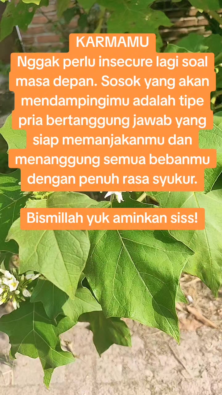 @Mega Widya