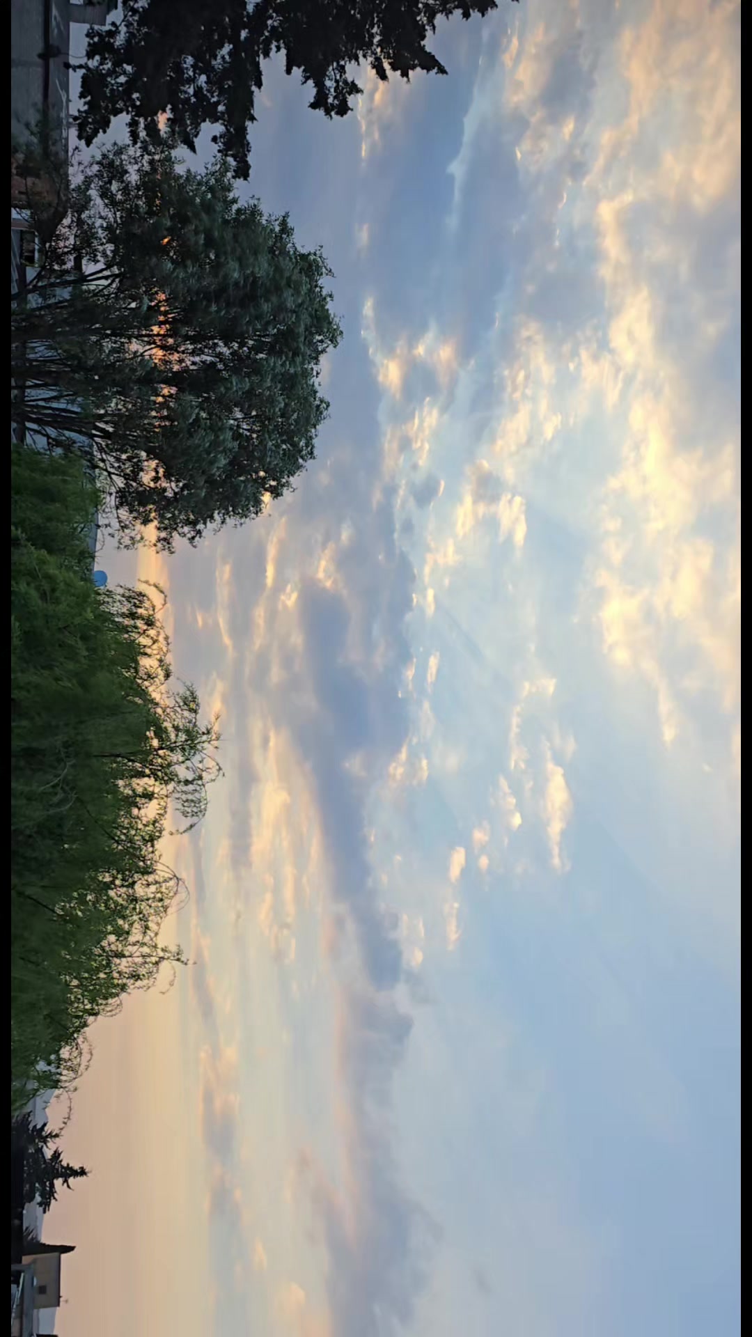 @¥@$₹