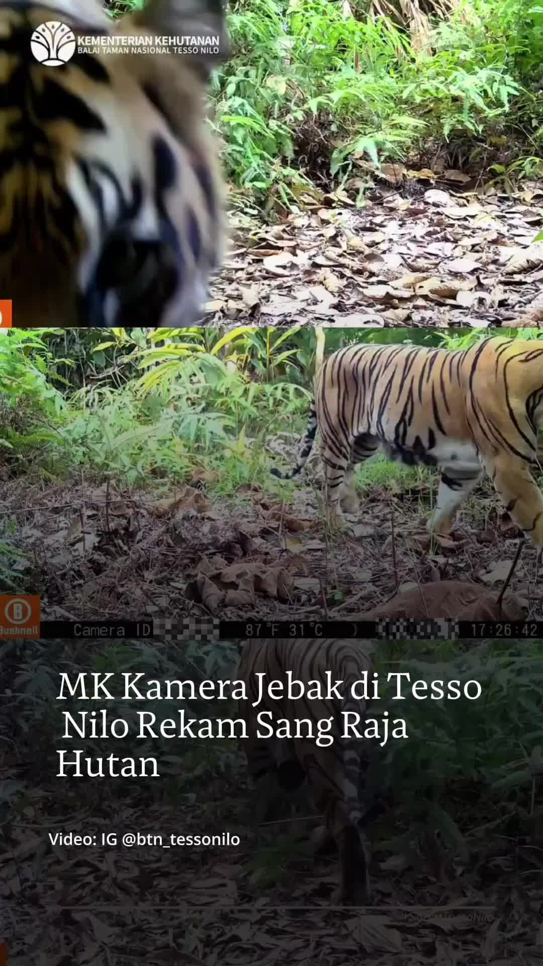 @mongabayindonesia