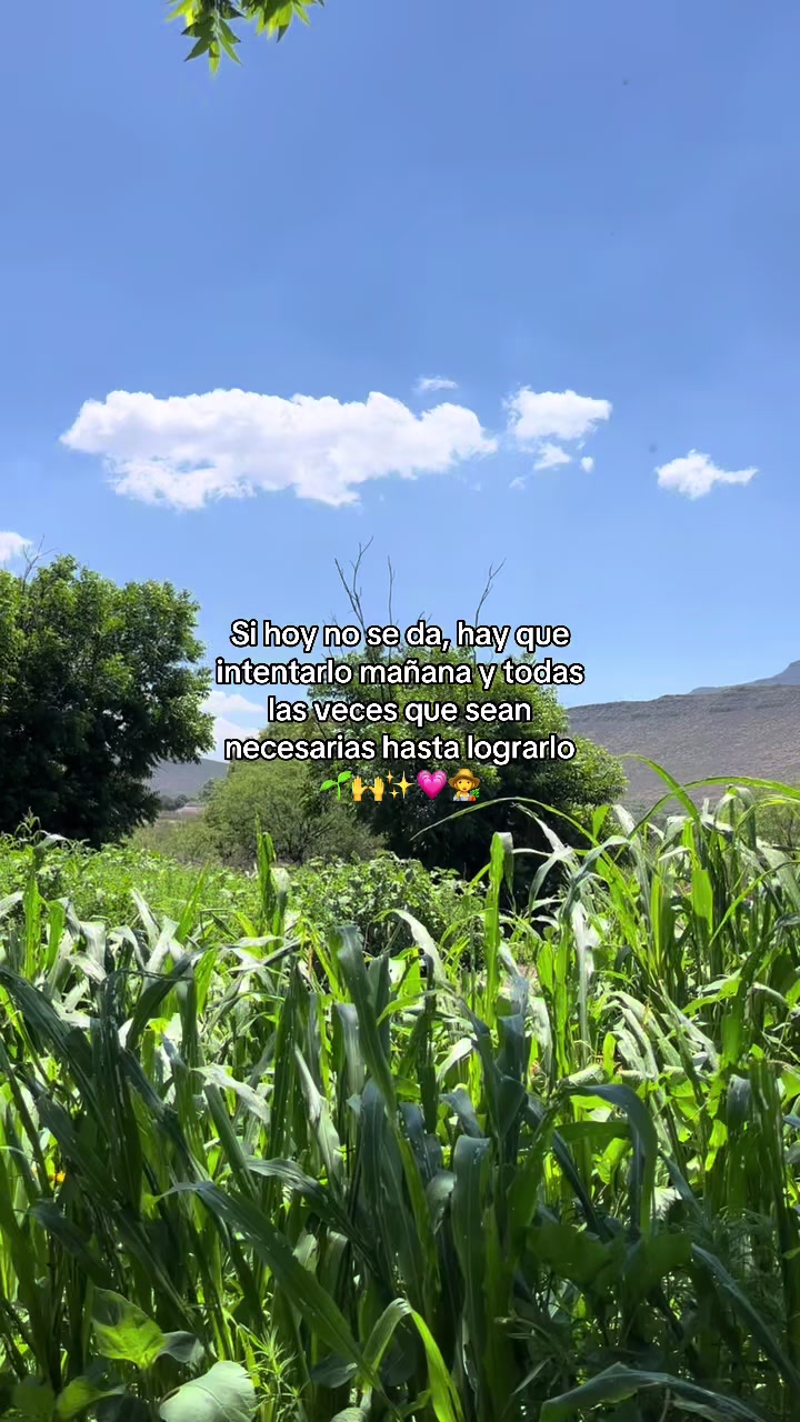 @Lachicadelagro_👩🌾🌱
