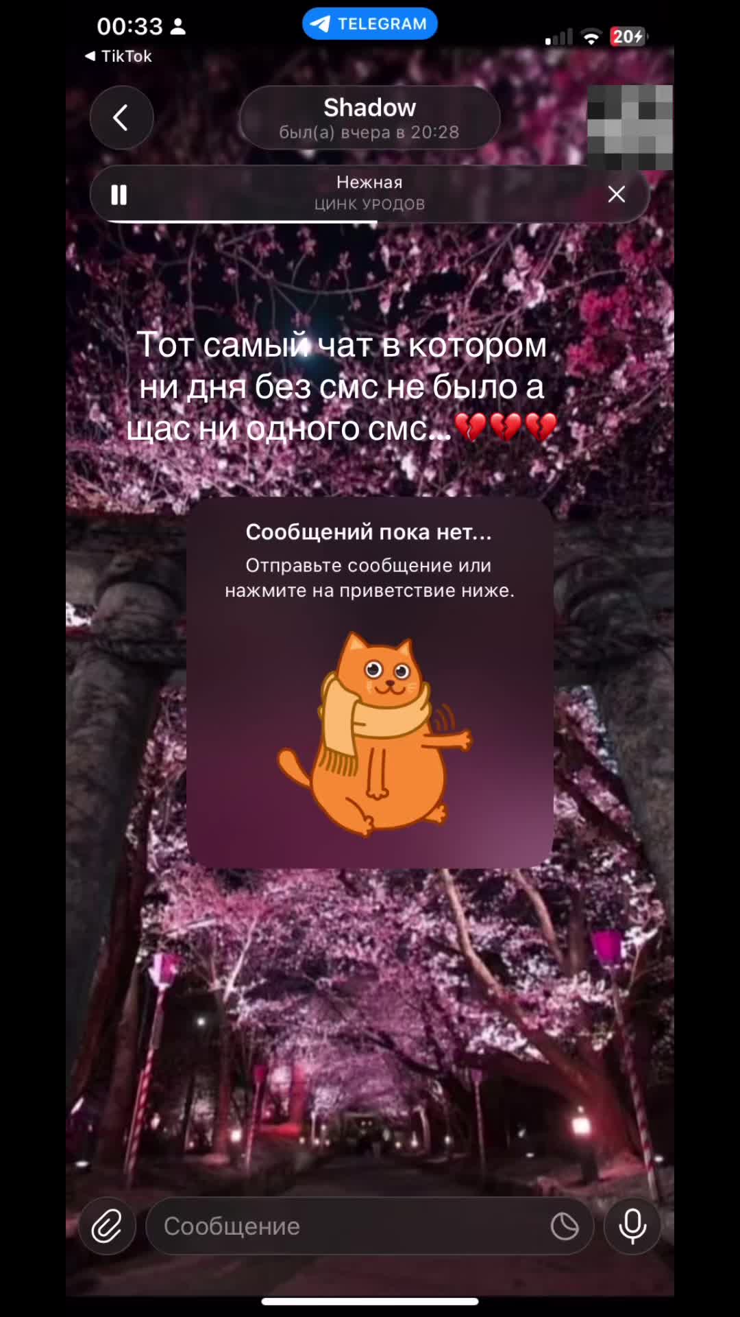@lipwix🪽