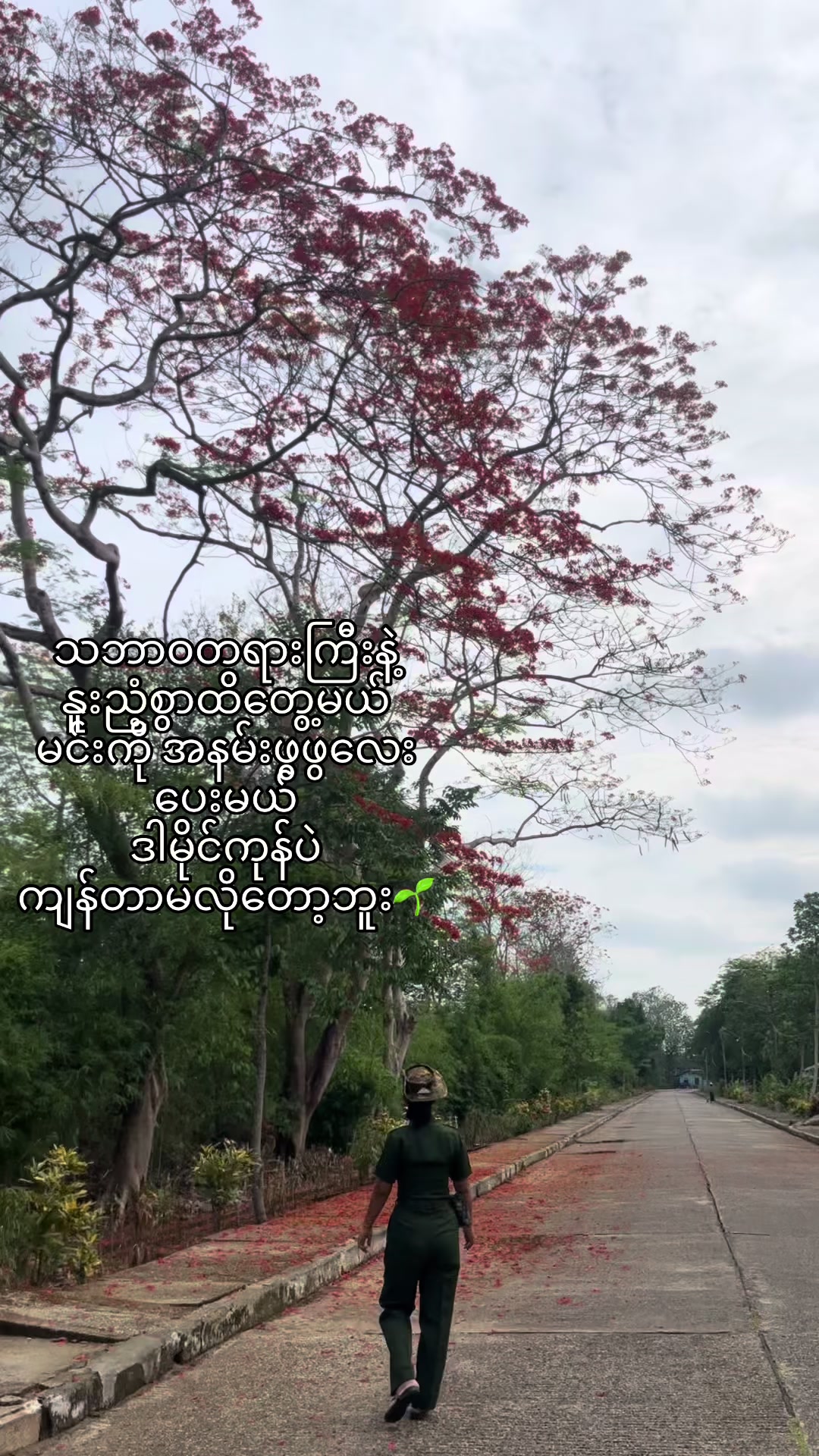 @Shwe Yee TV Host 🌷