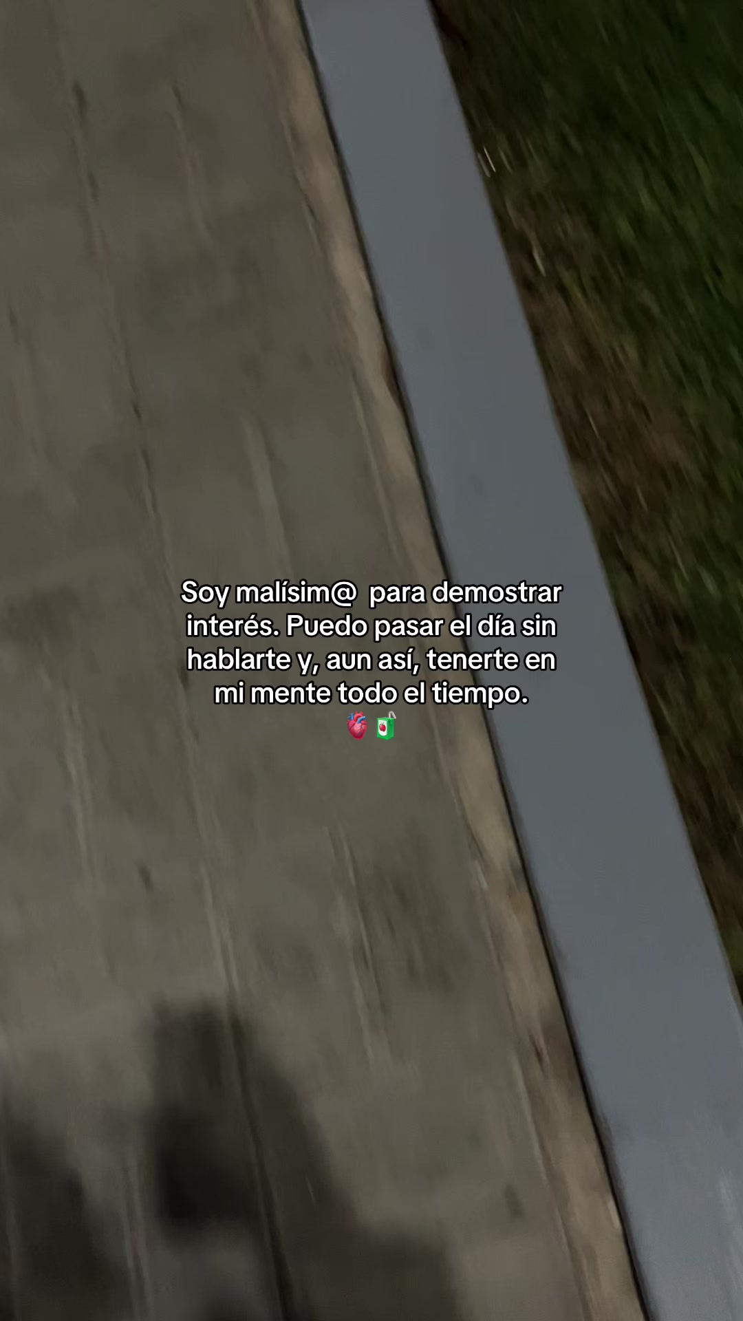 @Gatocix 🐱
