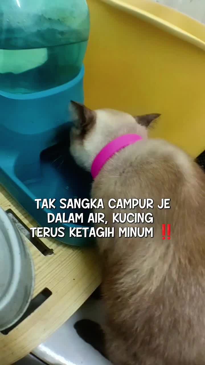 @Norazrena | Racun Tiktok