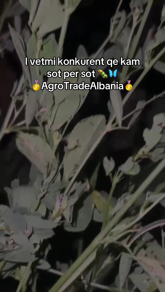 @AgroTradeAlbania