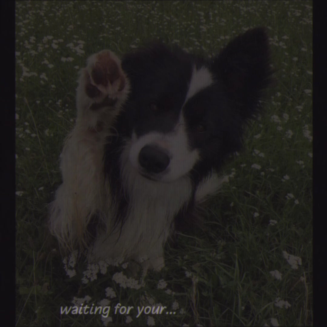 @🐾 к&alpha;z в&sigma;я&part;єя &cent;&sigma;ℓℓ&iota;є #1 fan🐾
