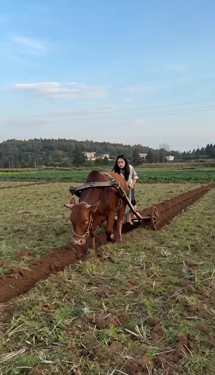 @QuynhKun