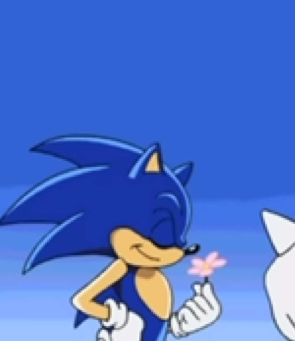 @Cream the Rabbit Lover