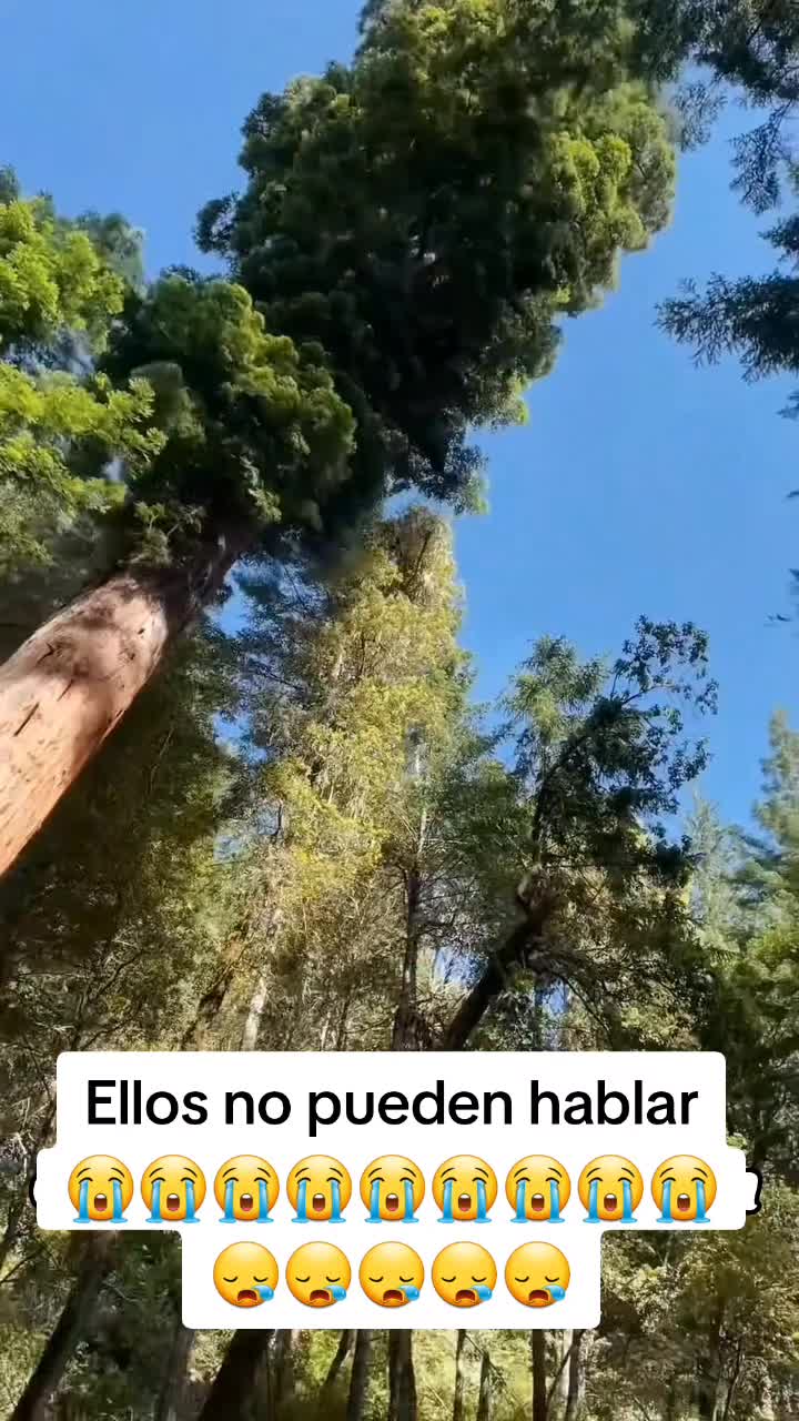 @𝕃𝕚𝕤𝕤 ℝ𝕖yes🇸🇻