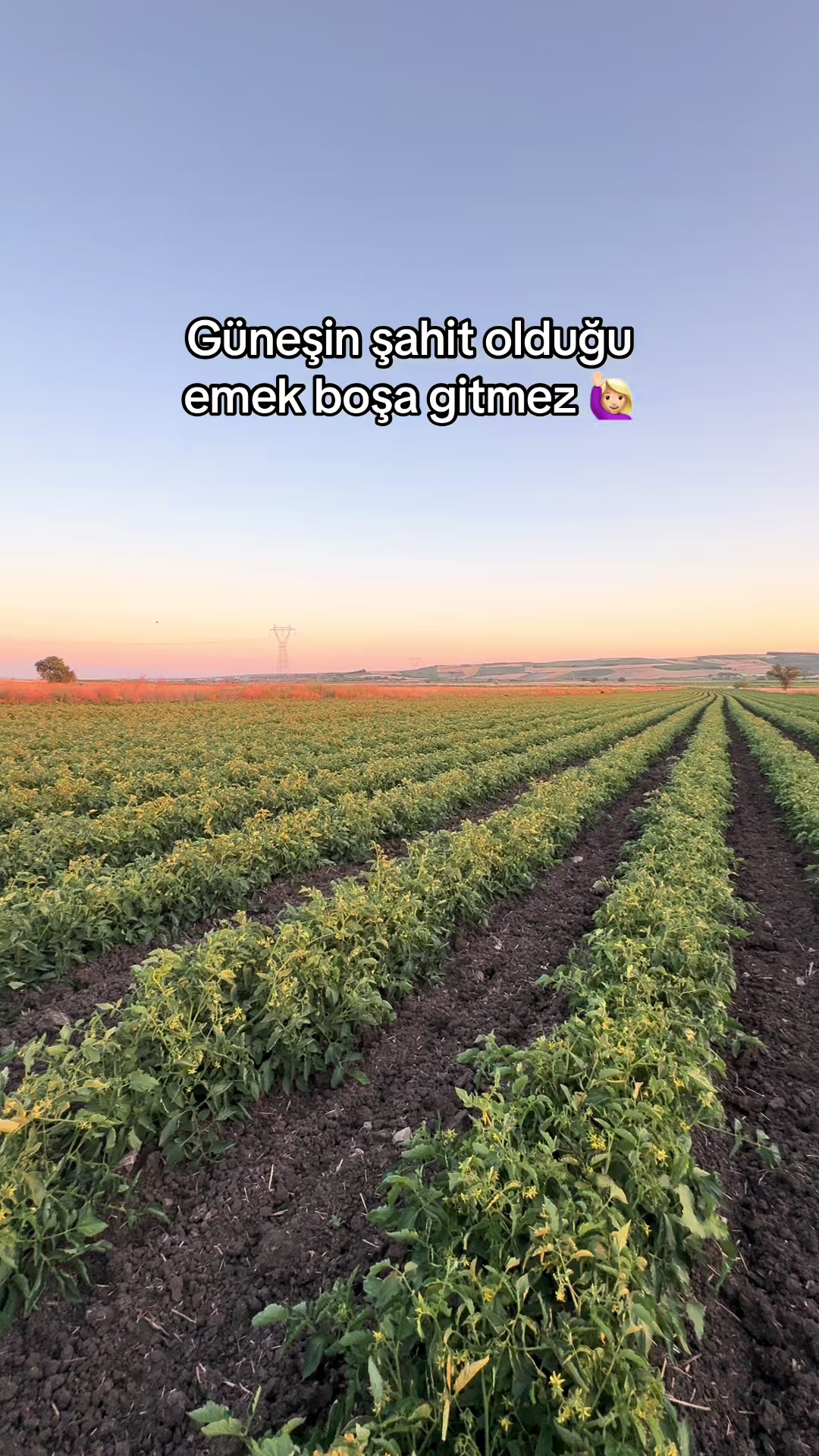 @gozde