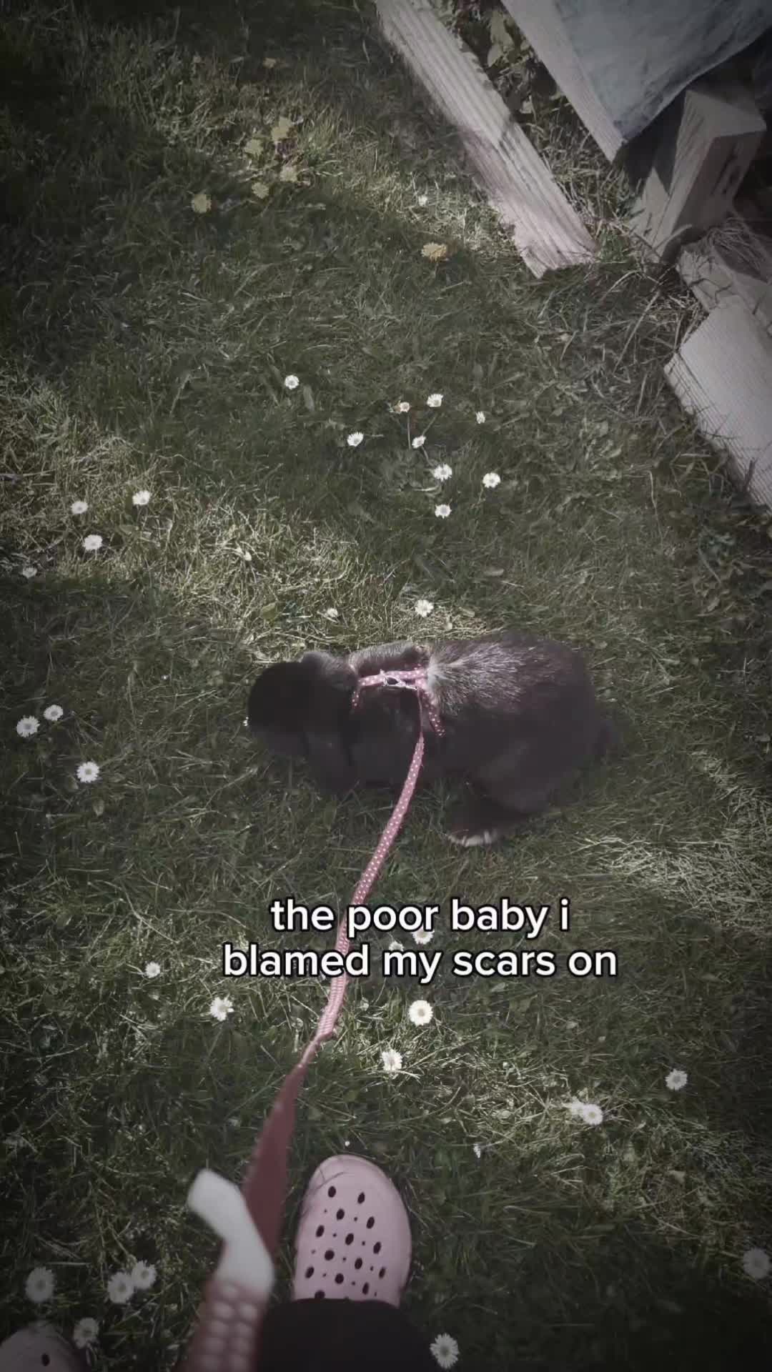 @🤷🏻♀️