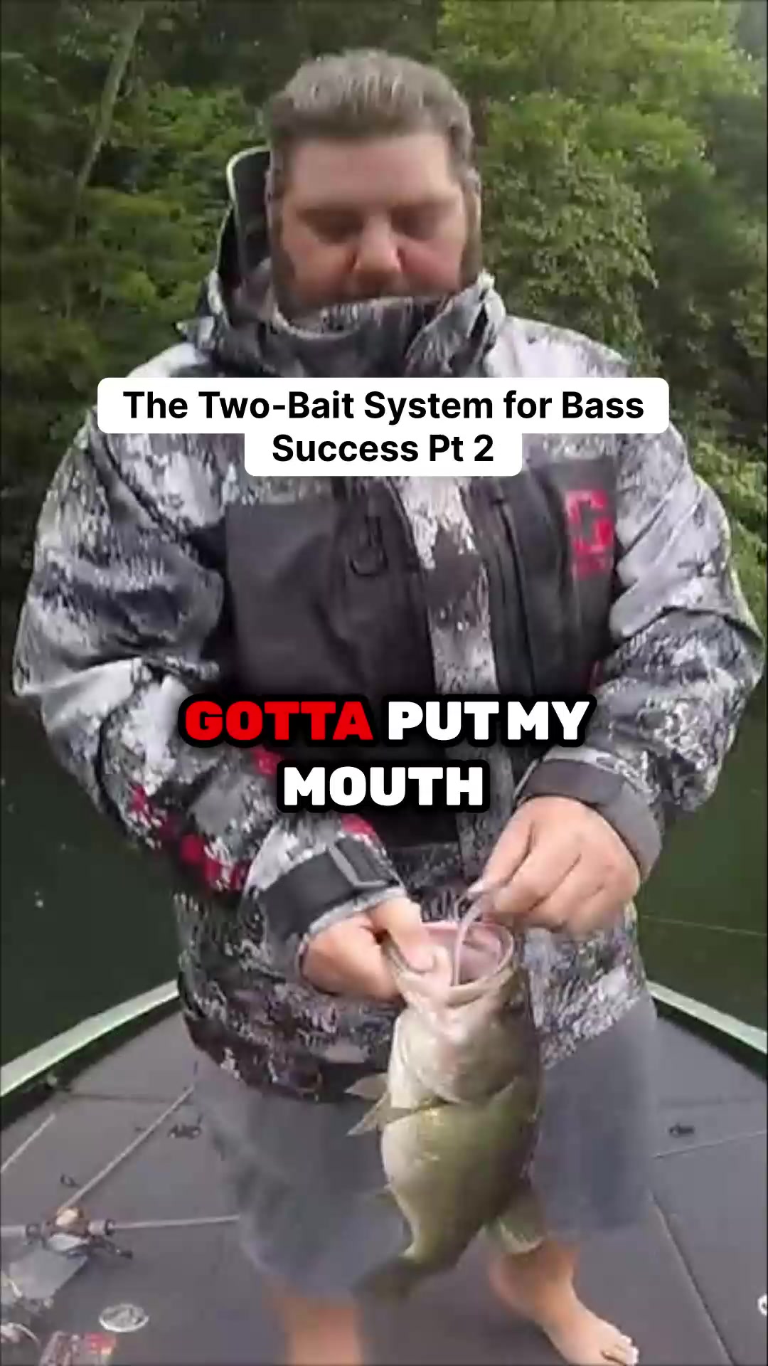 @bassgeek