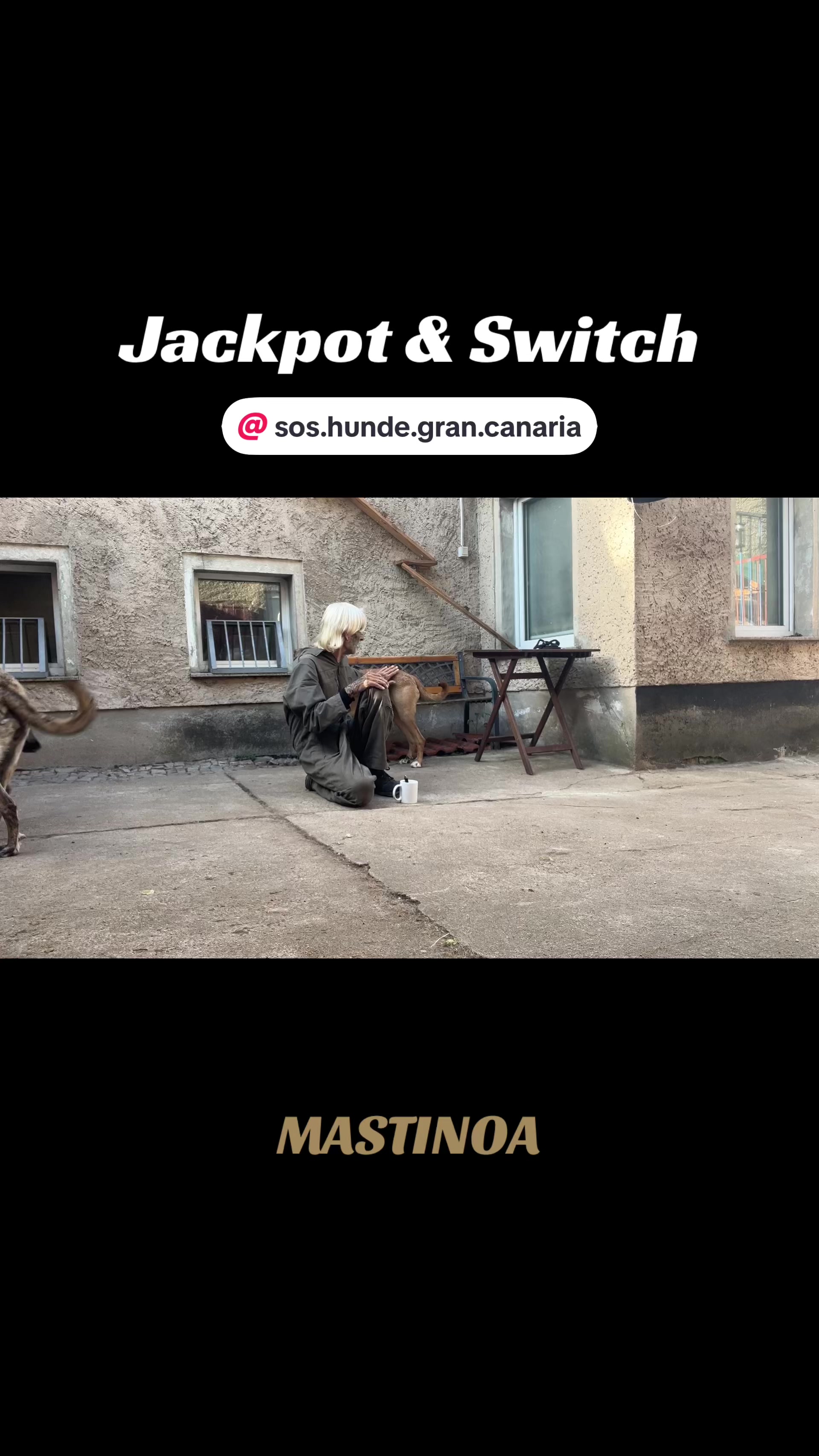 @MASTINOA pro