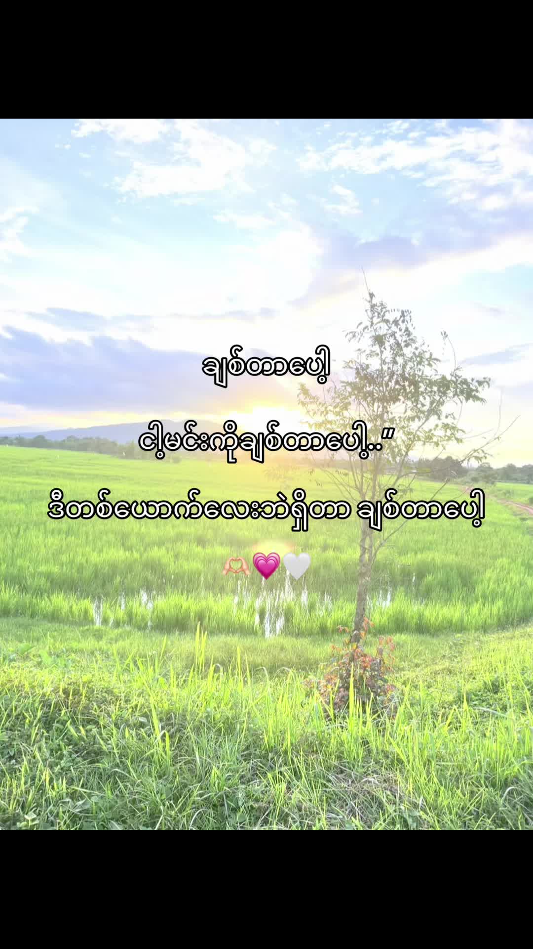 @𝒦𝒶𝒾