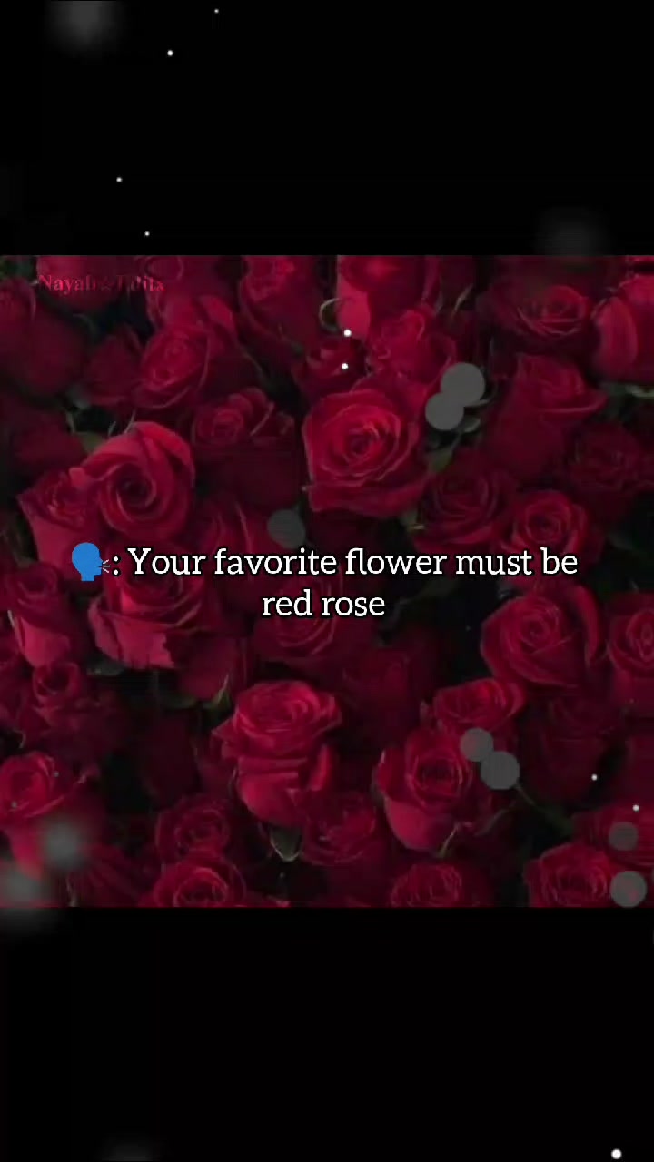 @დ𝐕𝐢𝐨𝐫𝐚