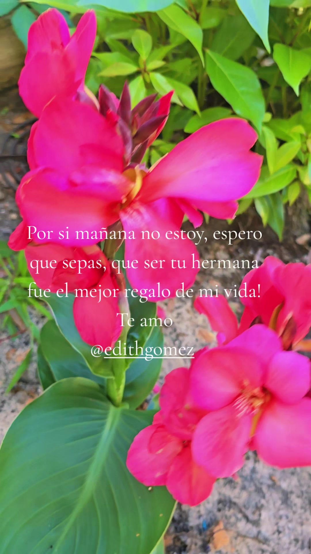 @Besis Johana