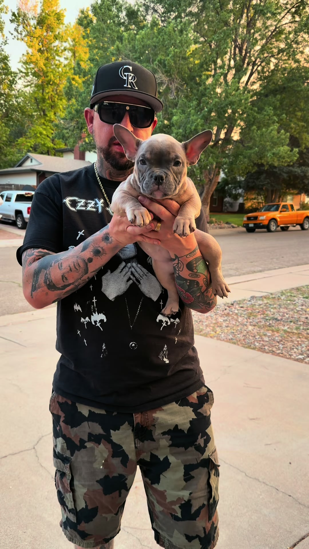 @steelforgedbullies
