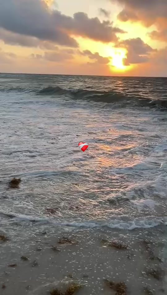 @Stephanie 🌊