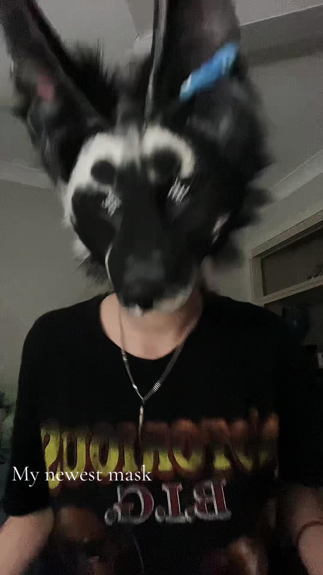 @<Ñįćø>