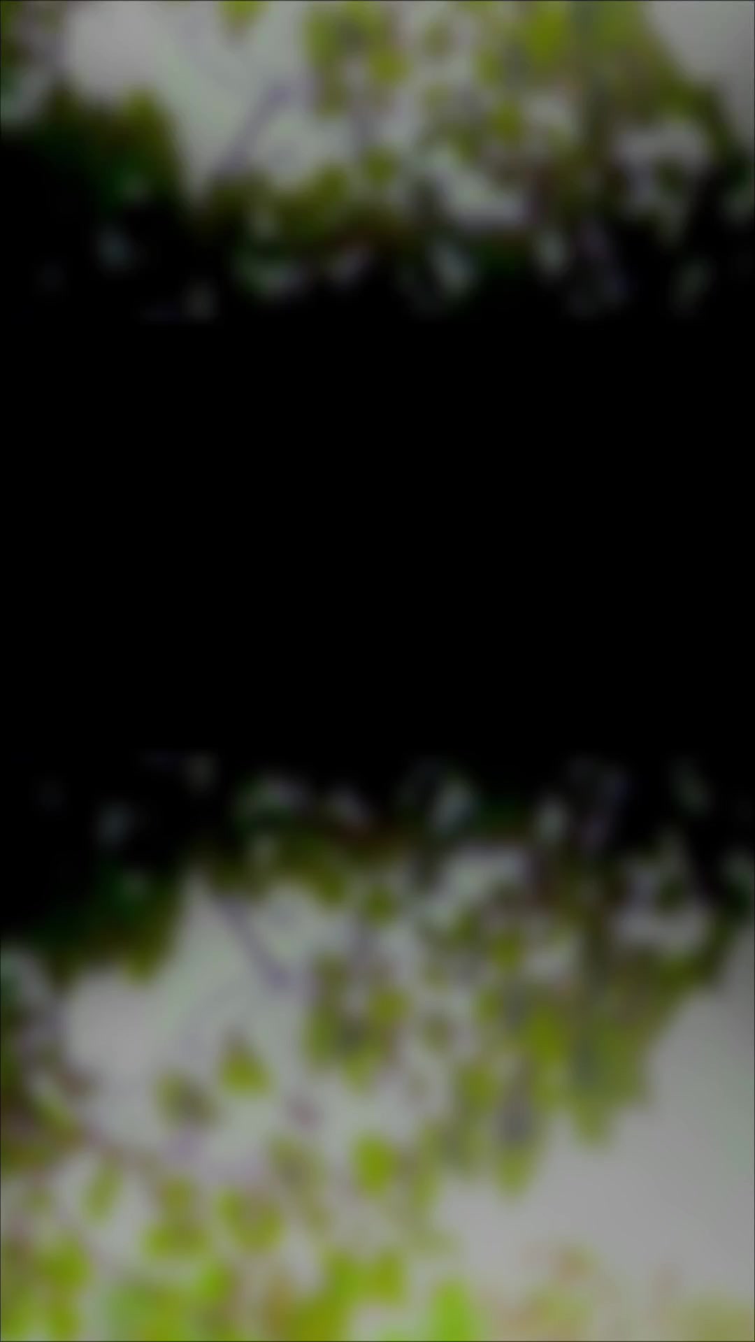 @๐ฑ๐ป๐๐๐๐๐.๐ธ