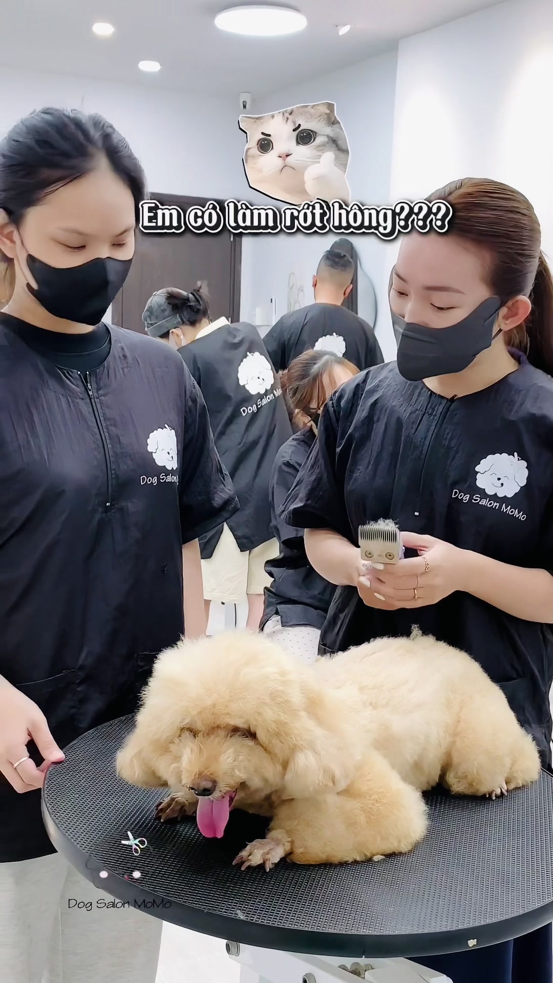 @TuongVan Petstylist