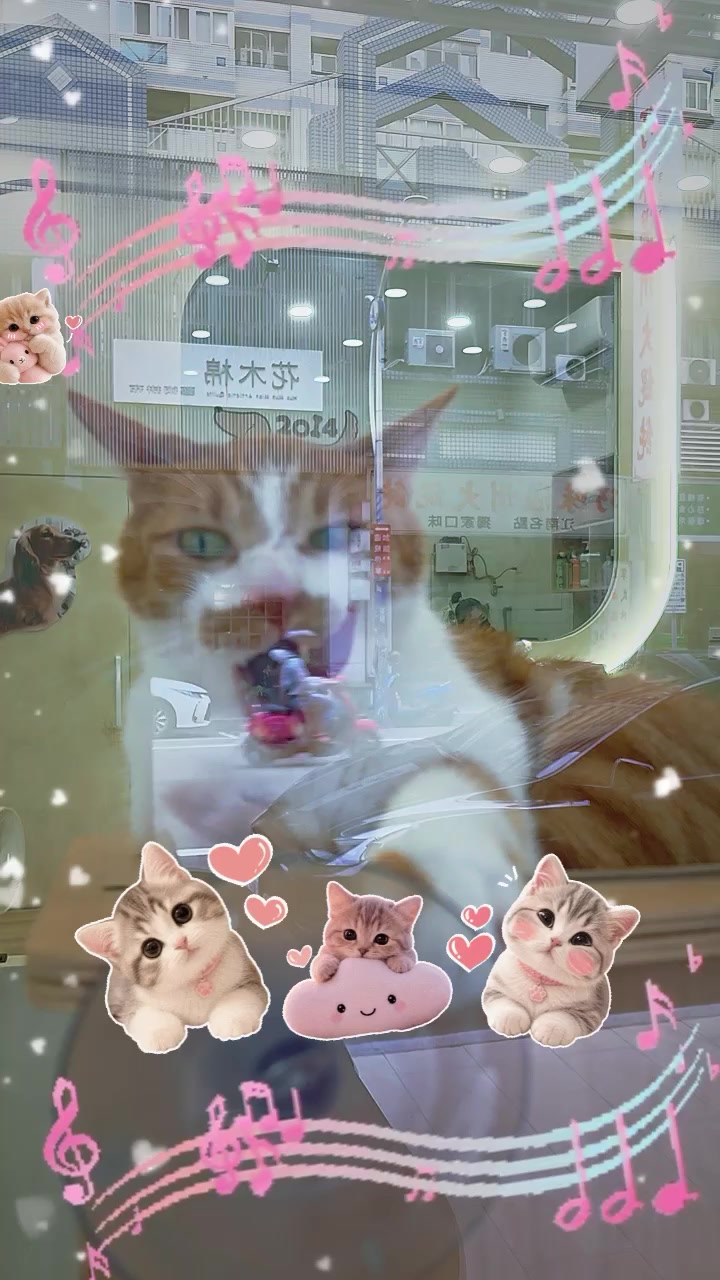 @金默默