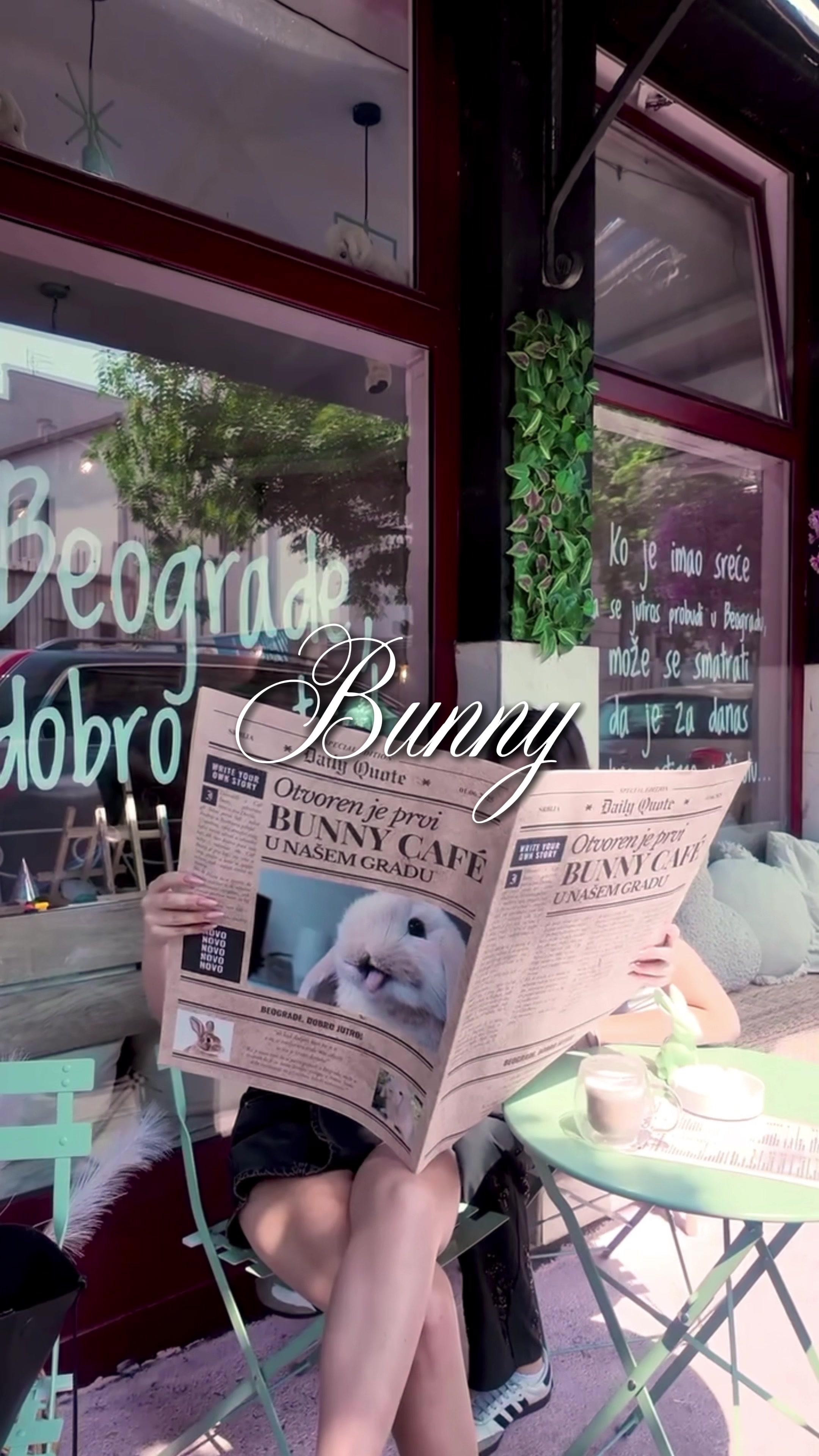 @Bunny caf&eacute;