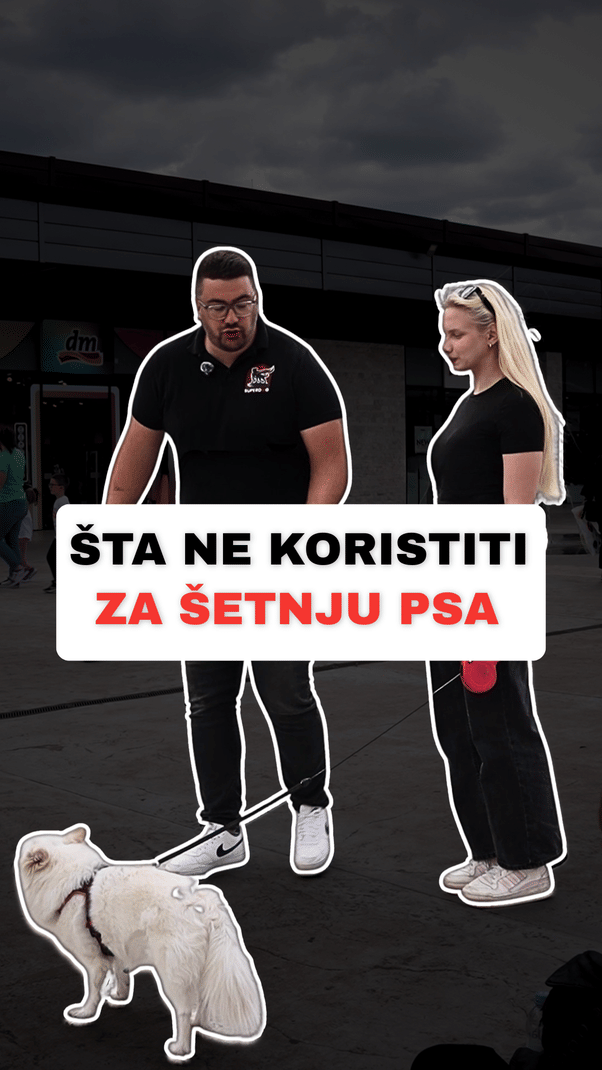 @superdog.akademija