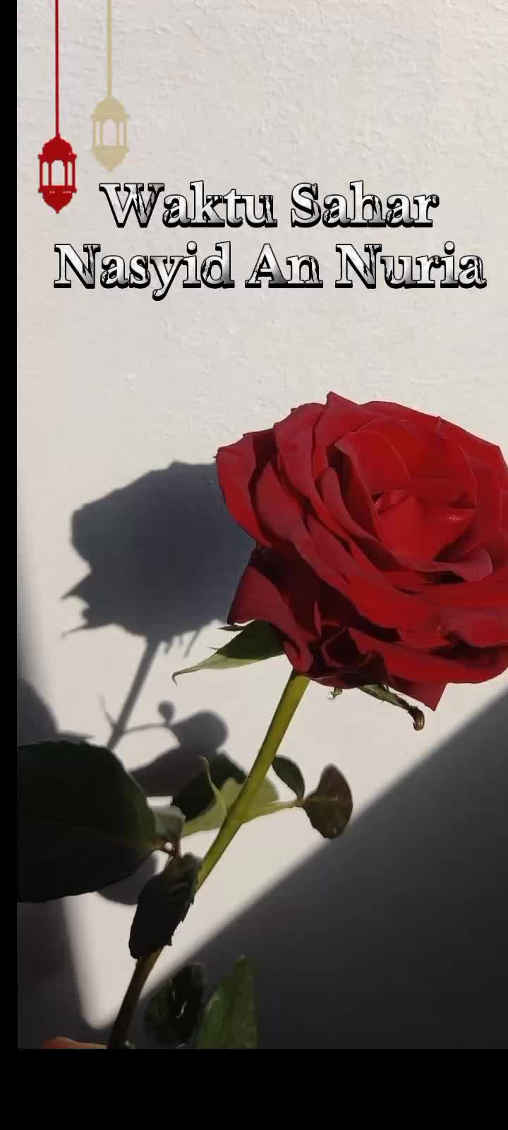 @🇲🇨🇵🇸 Mawar Merah 🌹