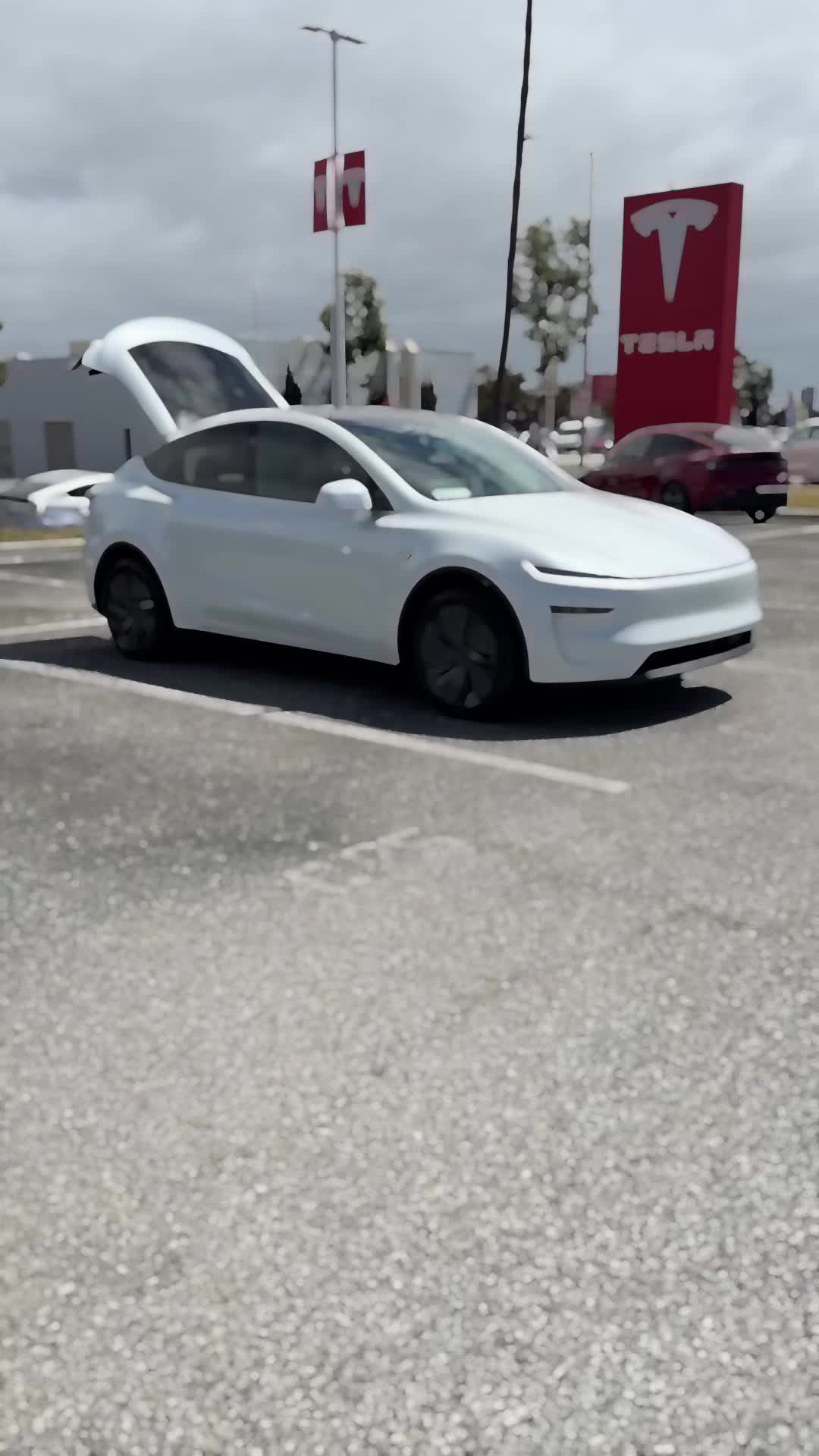 @Teslys 🇺🇸