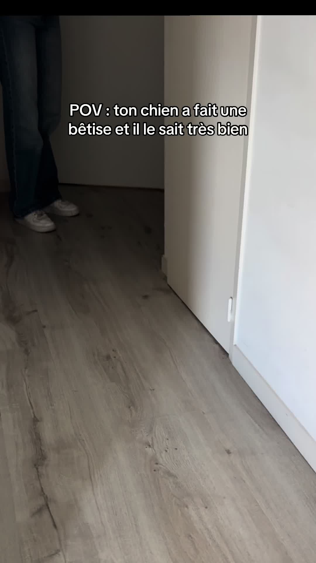 @Ar&egrave;s 🐶