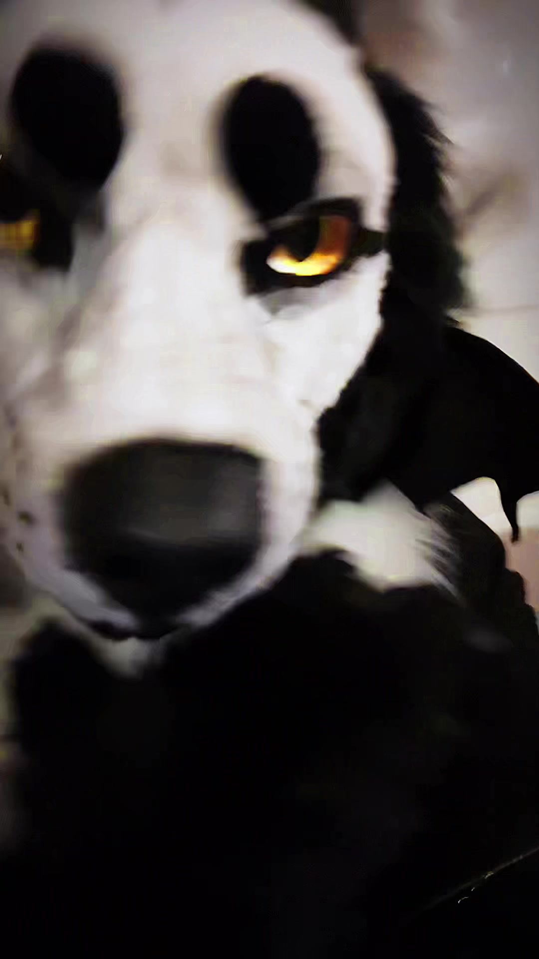 @🖤。 Ø₦ɎӾ 。🖤