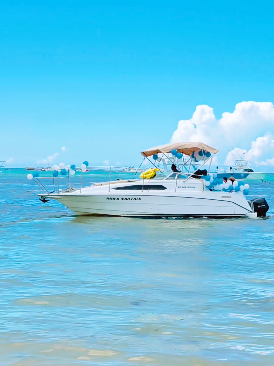 @Liliia Valova Liva Boat