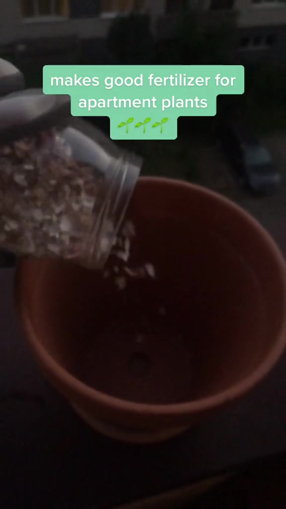 @mădă🪴🌱the vanguardist🌱🪴
