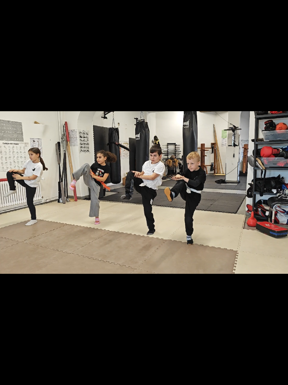@TaiChi_Wingchun_PF