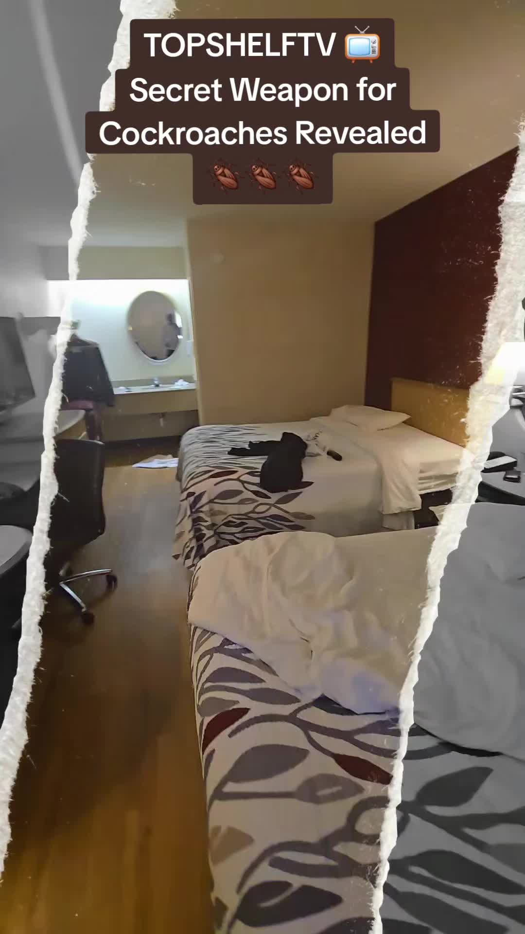 @TopShelfTvmf
