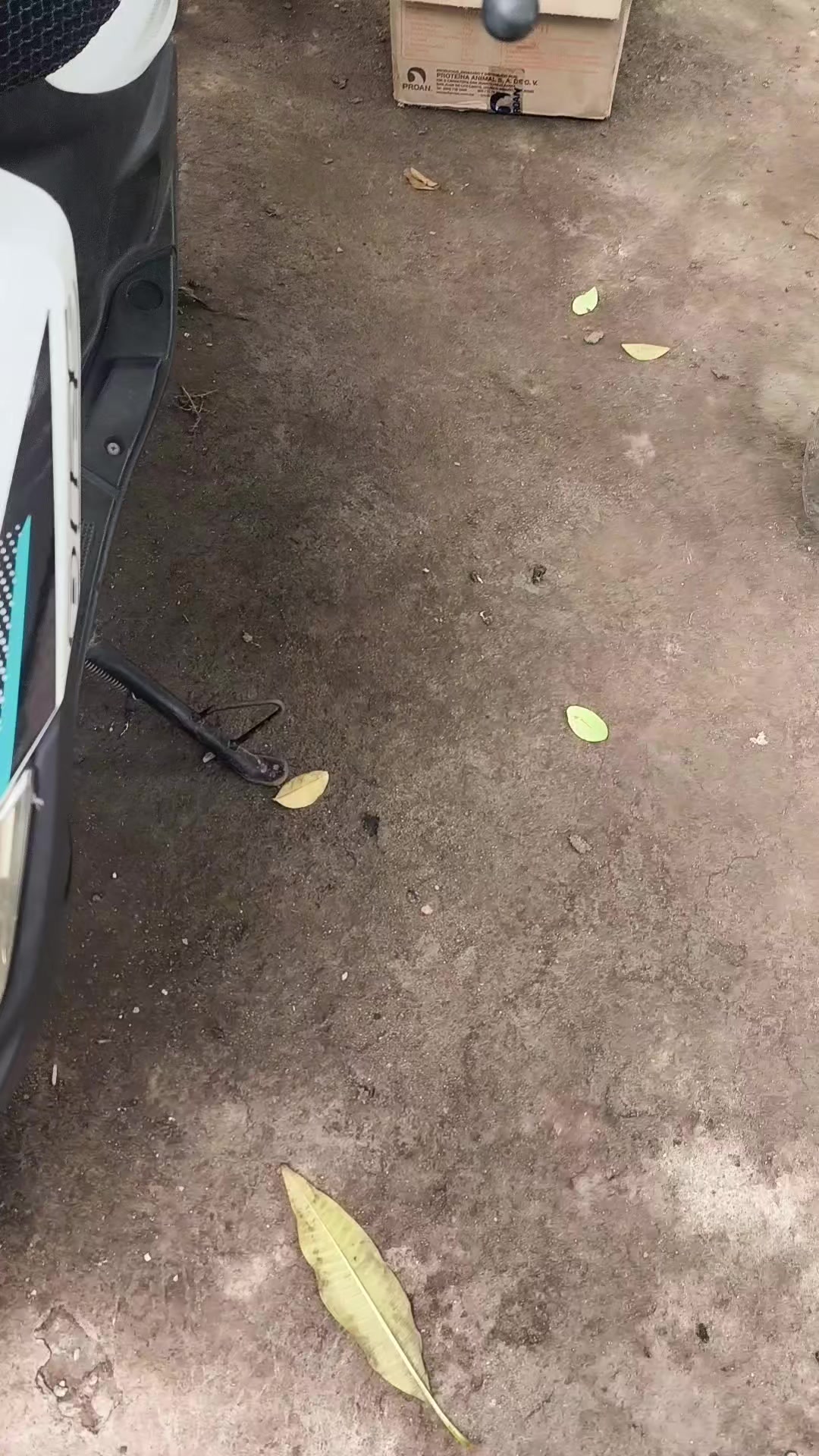 @xox.com