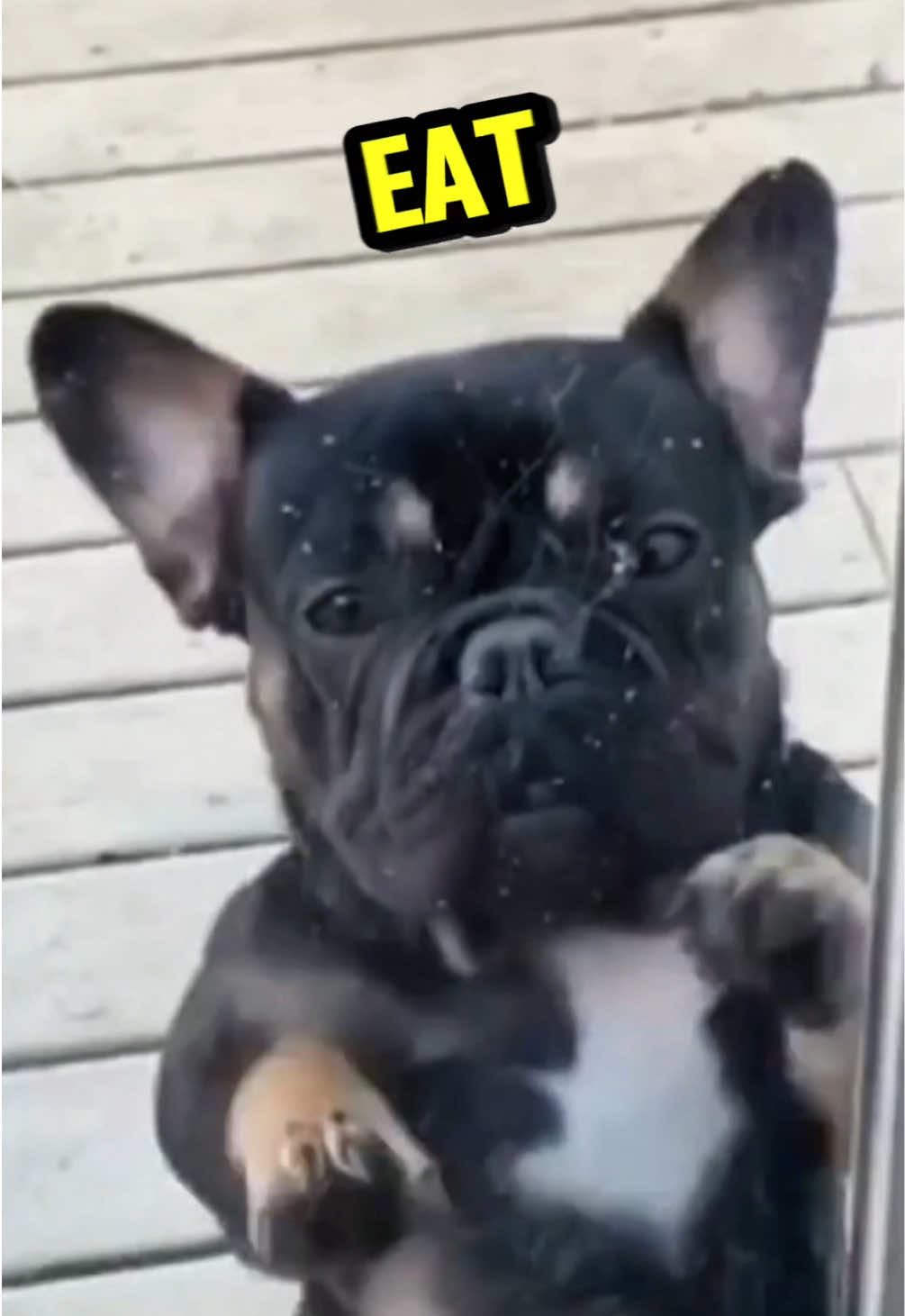 @Rufus Goodboy